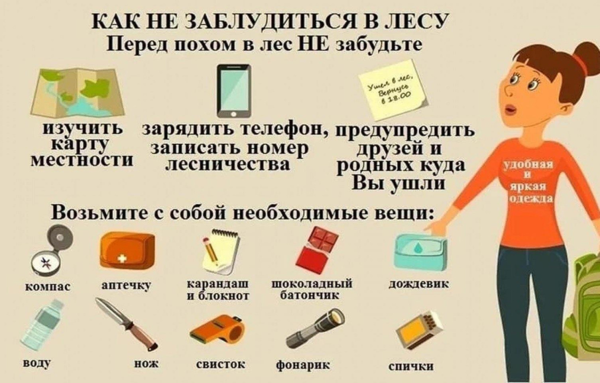 Как не заблудиться в лесу